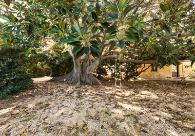 Agriturismo Appartamento Tenuta Pizzolungo